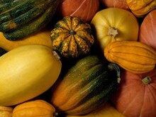 Calabazas y tipos de calabaza