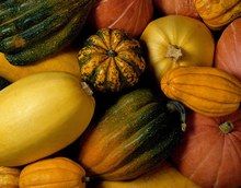 Calabazas y tipos de calabaza