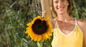 ¿Cómo recuperar el agua de lluvia?