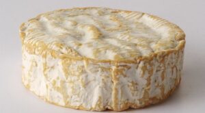 El camembert