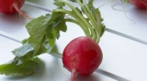 Veduras de primavera