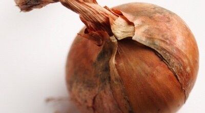 Cebollas y chalote