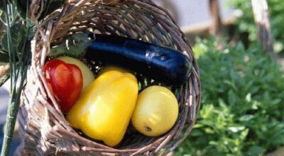 Verduras: las combinaciones adecuadas
