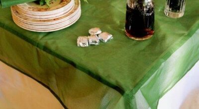 Decora con Flor de Asoka