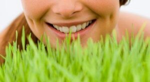 Los Premios Tierra de Mujeres de Yves Rocher