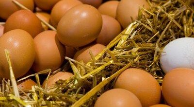 Huevos