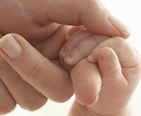 Trámites para la adopción