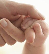 Trámites para la adopción