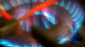 ¿Buscas catering? EnTusFogones te da la solución