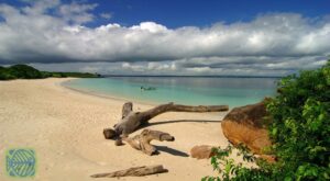 Descubre la costa pacífica de Costa Rica en velero