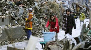 Tod’s hace una donación para los damnificados en Japón