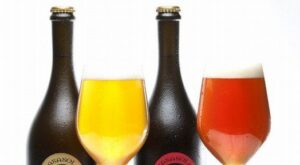 Cerveza gourmet artesana