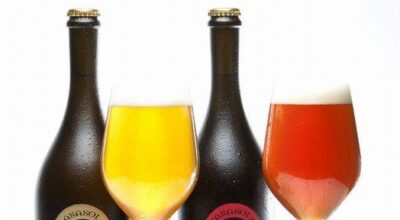 Cerveza gourmet artesana