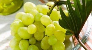 Uvas moscatel
