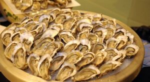 Disfruta del placer de las ostras esta Navidad