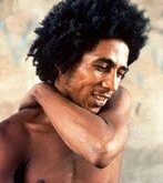 Canciones de Bob Marley y Jimi Hendrix disponibles en Internet