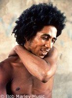 Canciones de Bob Marley y Jimi Hendrix disponibles en Internet