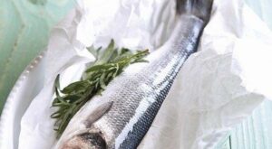 Lubina ecológica: todo un manjar