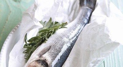 Lubina ecológica: todo un manjar