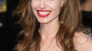 Angelina Jolie y Brad Pitt tendrán un parque de atracciones en casa