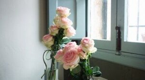 Direcciones secretas: elige tu fotógrafo