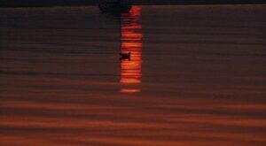 La energía de hoy: viernes 14 de septiembre de 2012