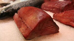 El atún rojo más caro en la historia de la lonja: 1,3 millones de euros