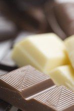 Todo sobre el chocolate