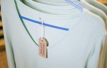 Todo sobre el algodón