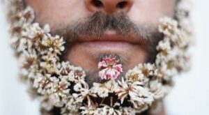 Barbas con flores, la última excentricidad