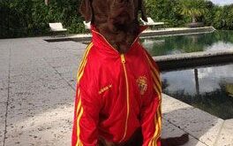 Los 10 tweets de la semana: Del viernes 28 de junio al 4 de julio