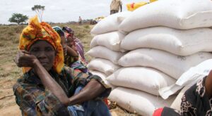 Entre 4 y 5 millones de personas al año son víctimas de explotación sexual