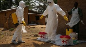 Todo lo que tu familia y tú debéis saber sobre el ébola