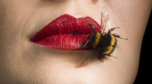 ¿Placenta de oveja? ¿Plasma sanguíneo? Los tratamientos de belleza más raros