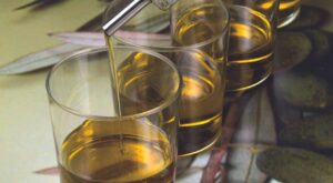 Aceite Gourmet: no hay fronteras para el sabor