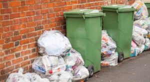 Friganismo: ¿el nuevo activismo anticonsumista?