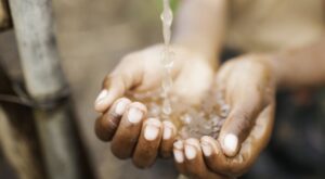 Estrellas solidarias: la cara más amable de los mejores restaurantes