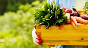 Dieta Paleolítica: claves para llevarla a cabo