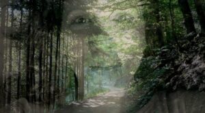 Memorias de un perfume aficionado