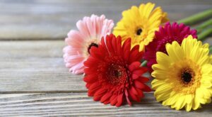 Cómo colocar flores en un jarrón: un truco sencillo pero muy práctico