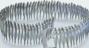 Lo comido por lo vestido