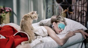 8 razones para preferir a tu gato antes que a tu chico