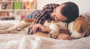 ¡Estas 30 mascotas son exactamente igual que sus dueños!