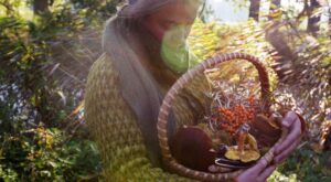 Los champiñones, reyes indiscutibles del otoño