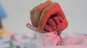 Teddy, el donante de órganos más joven del mundo