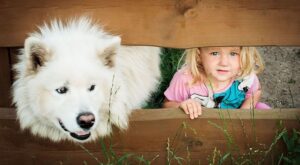30 fotos que demuestran que tus hijos necesitan un perrito en sus vidas