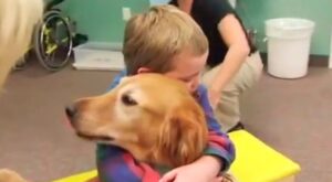 [Vídeo] Un perro logra «devolverle» la vida a un niño después de un accidente que le provocó un daño cerebral