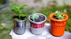 25 ideas mini para decorar tu casa con plantas