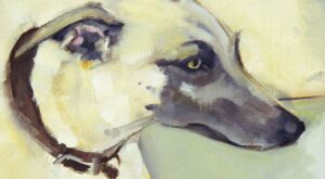 Perros con mucho pedigrí