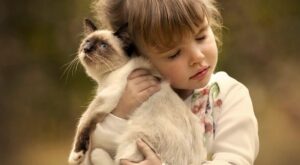 ¡Adorables! Muérete de amor con las mejores imágenes de niños y gatitos jugando